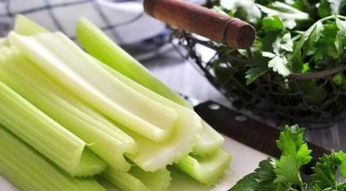 Сельдерей – самый низкокалорийный продукт