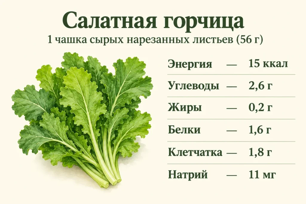 Пищевая ценность 56 г сырой салатной горчицы: 15 ккал, 2,6 г углеводов, 0,2 г жиров, 1,6 г белка, 1,8 г клетчатки и 11 мг натрия